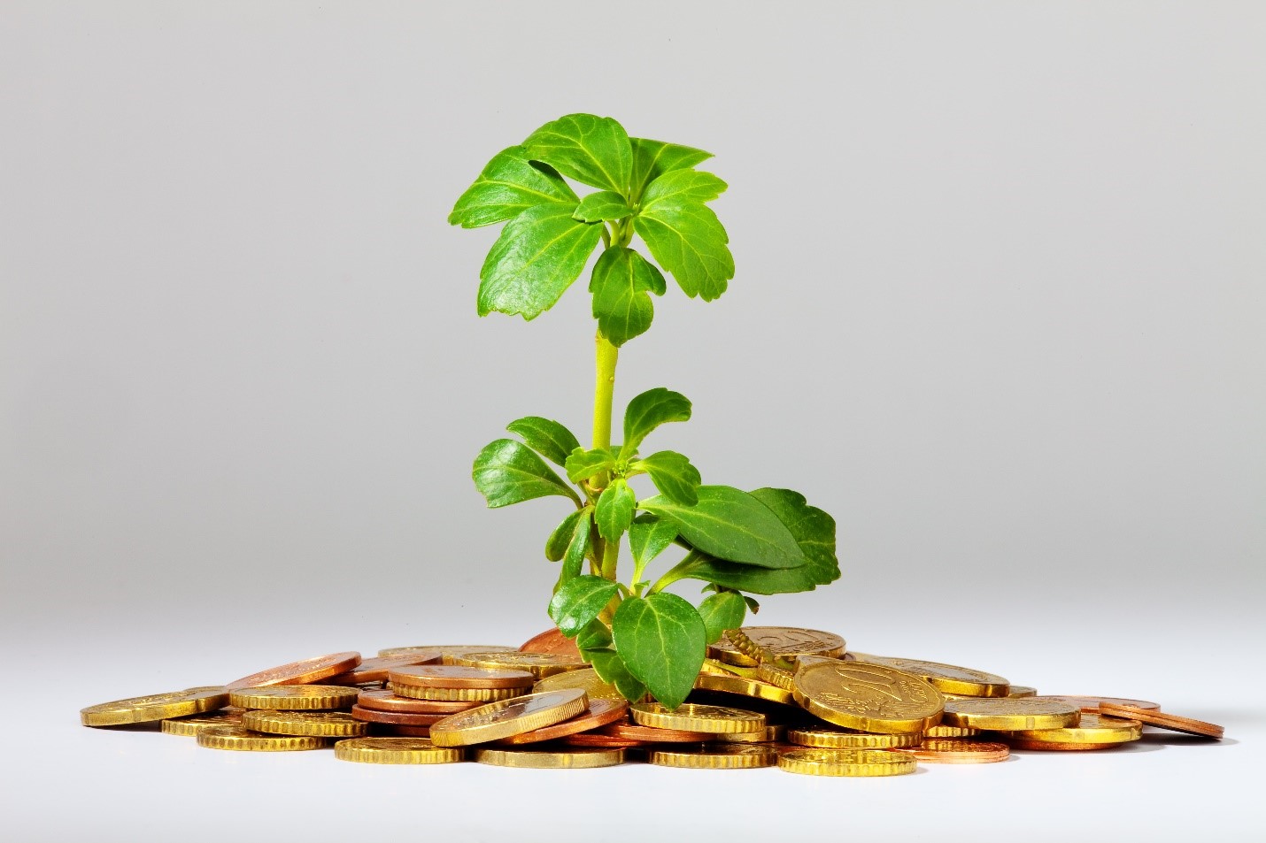 to maximize your tax savings by investing the right amount