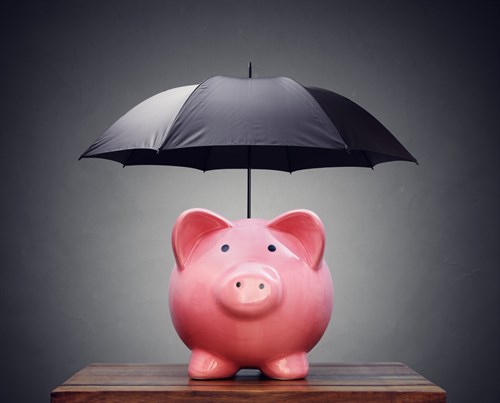 Guaranteed term life insurance